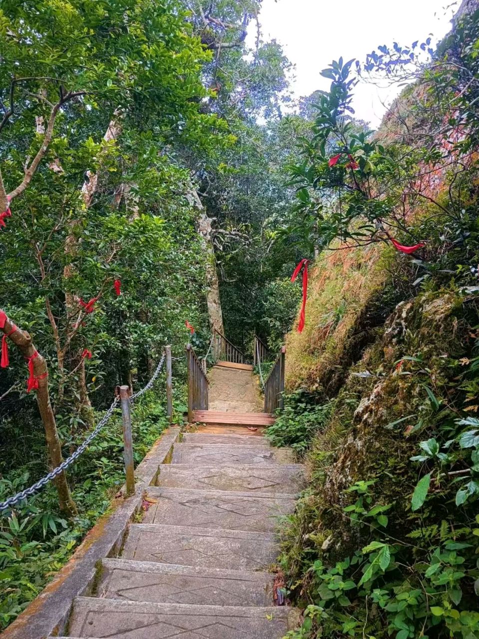 保亭七仙岭游记 作者：姚树学（图10）