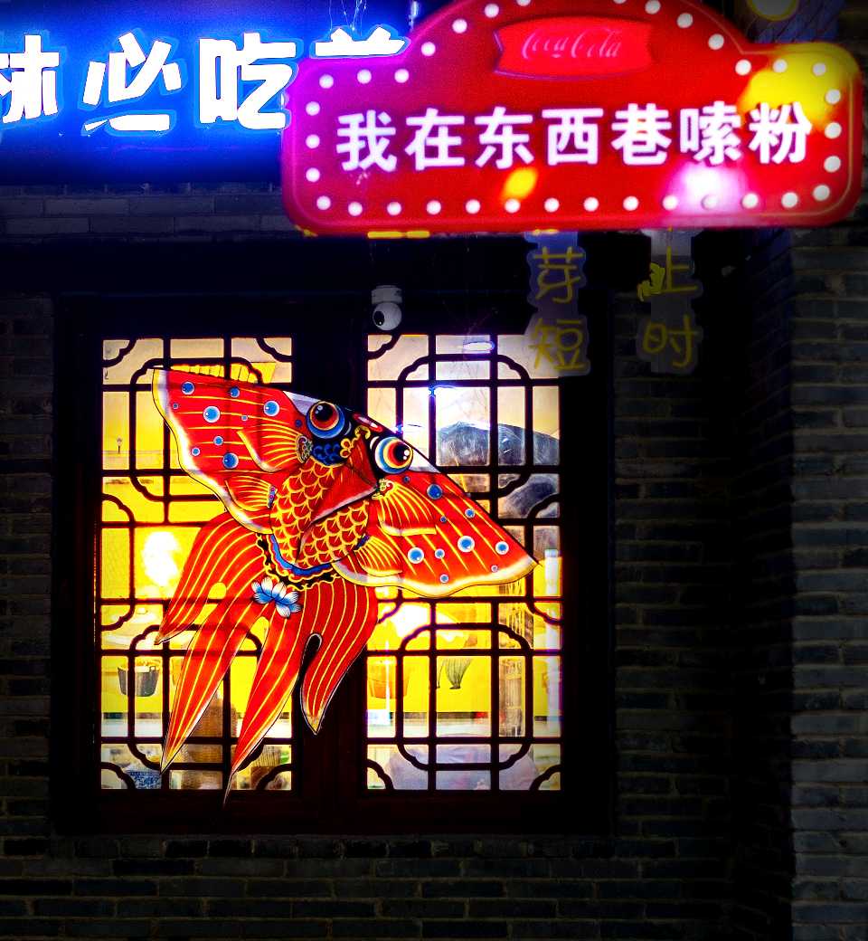 聆听 ‖ 桑叶朗诵《中国年》作者/刘伙力（图8）
