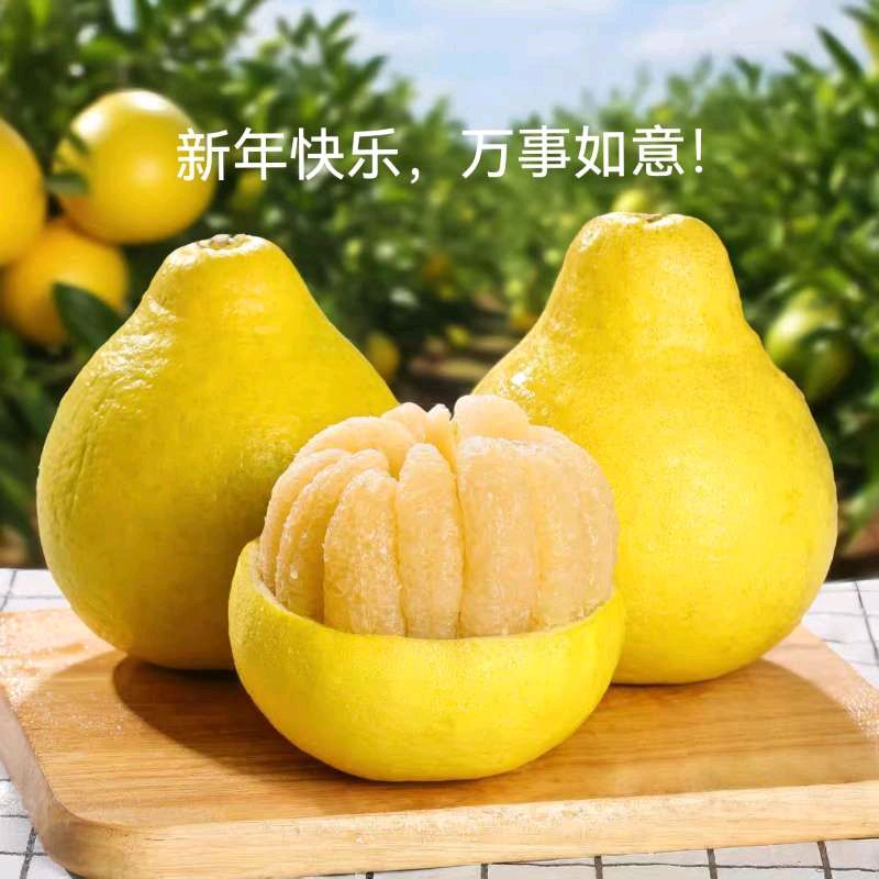 萧剑慧:年轮切片
