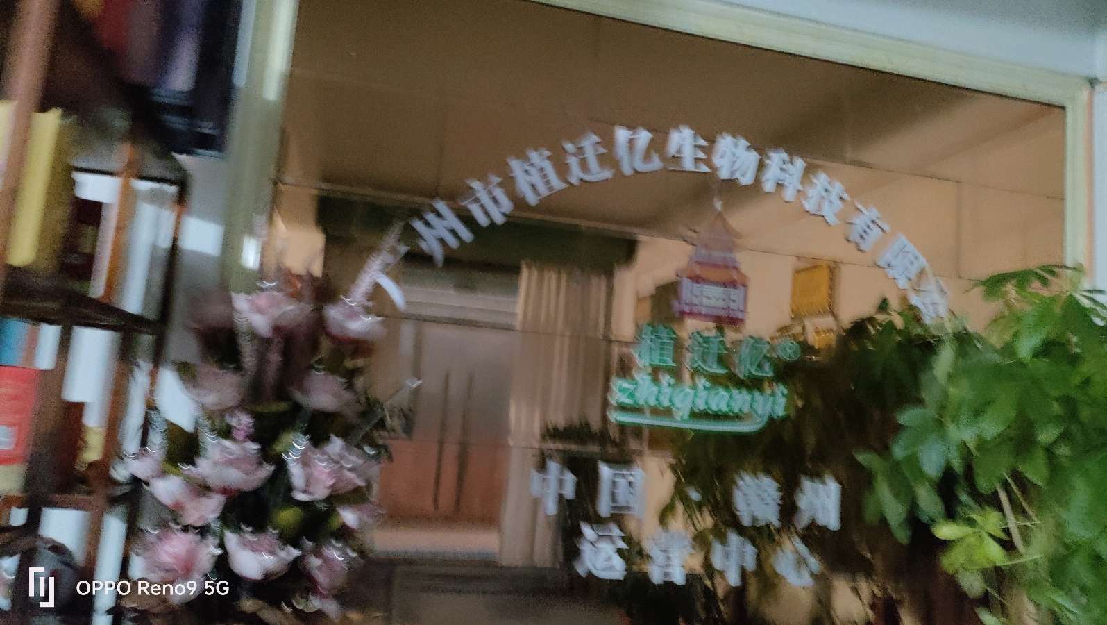 萧剑慧:年轮切片（图3）
