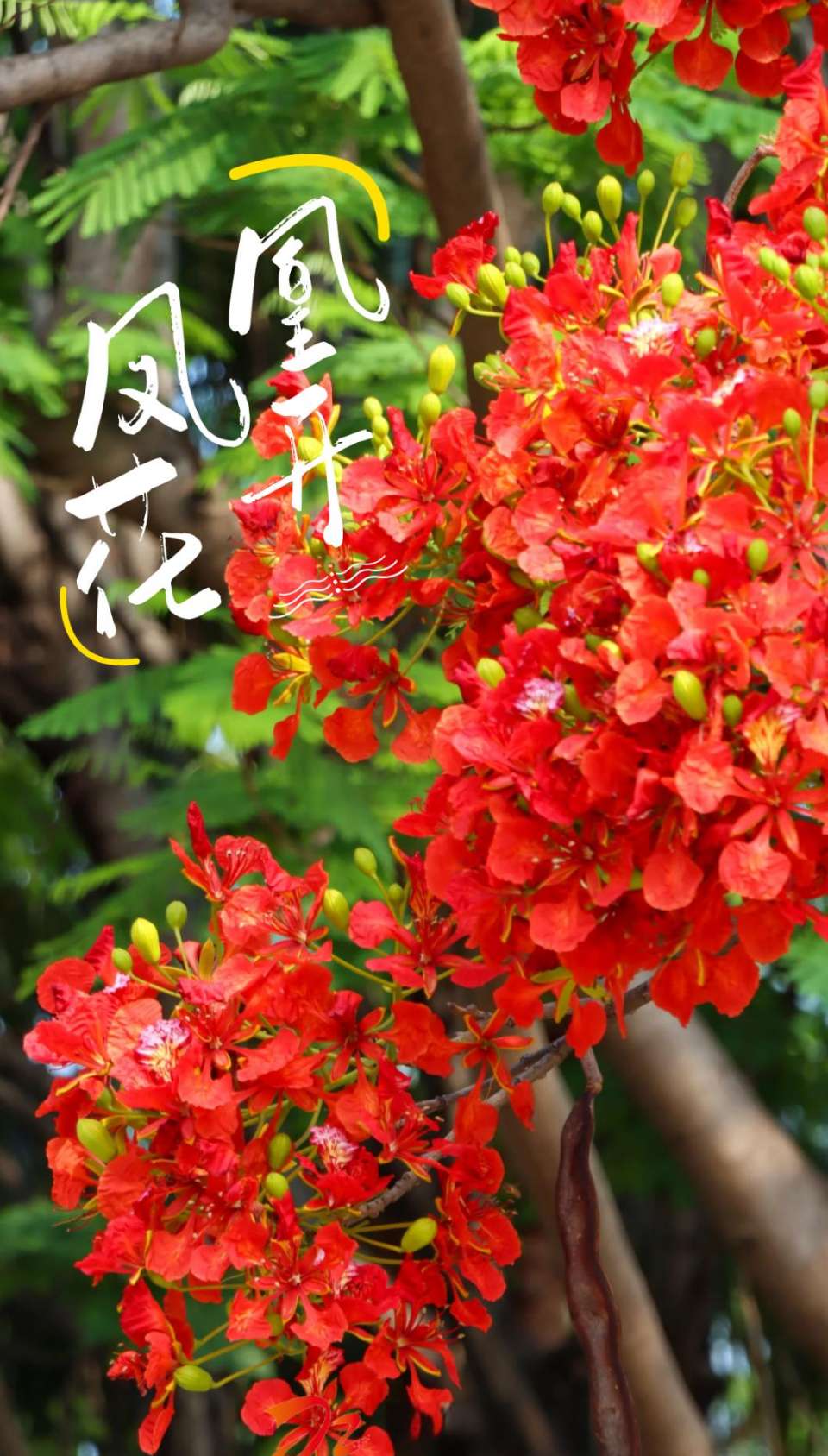 坚持的收获～作者◑徐锦秀～导师◑魏兴付（图10）