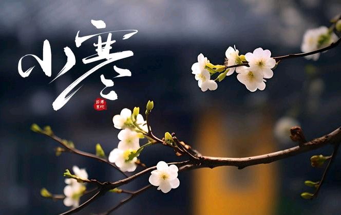 【散文】《朔风裁小寒 岁暮待春声》作者: 强军/陕西宝鸡（图5）