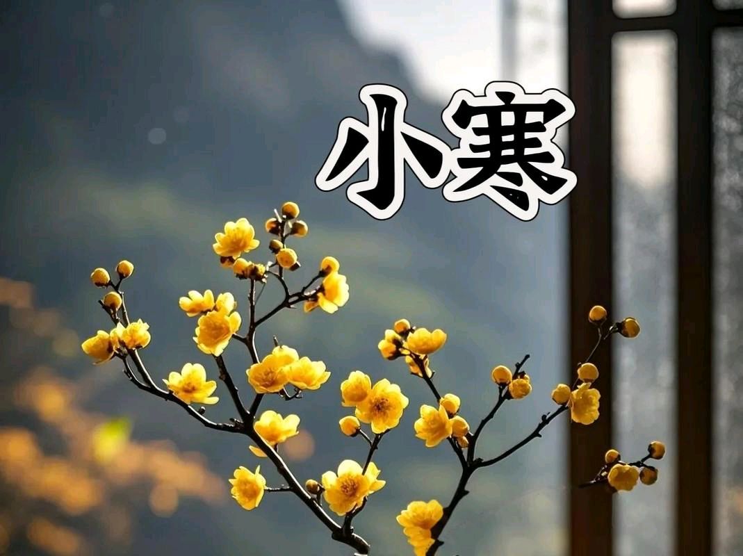 【经典推荐】丁旭//鹧鸪天•小寒纪实（图3）