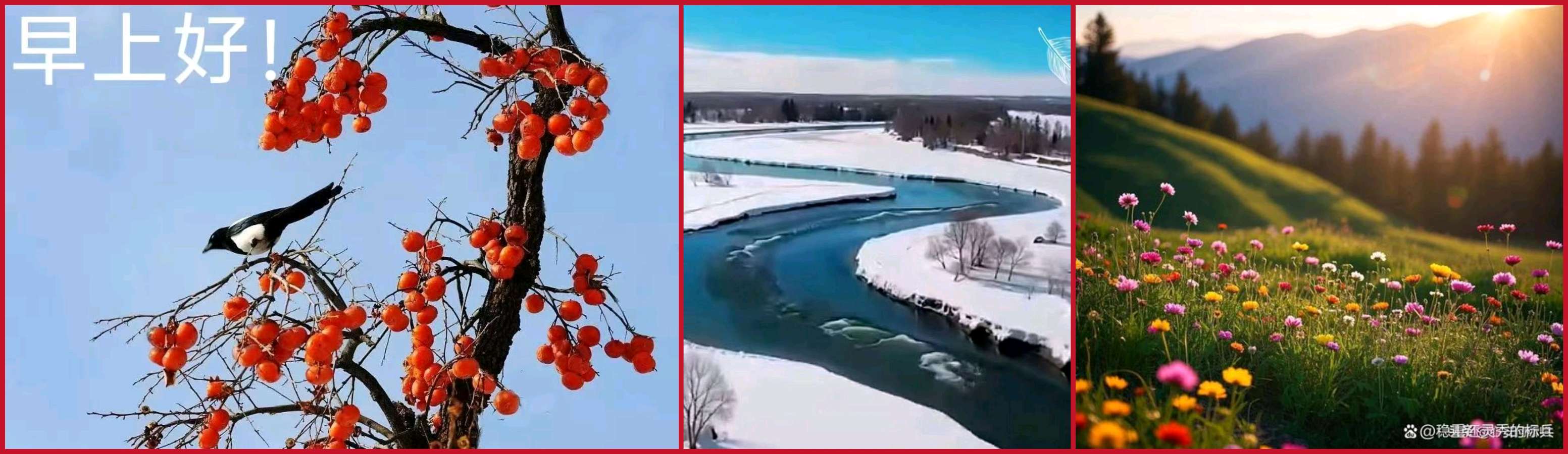 【新年放歌】鲁坡//七律•新年放歌“七律•喜迎新年”+新年过后又启程（图12）