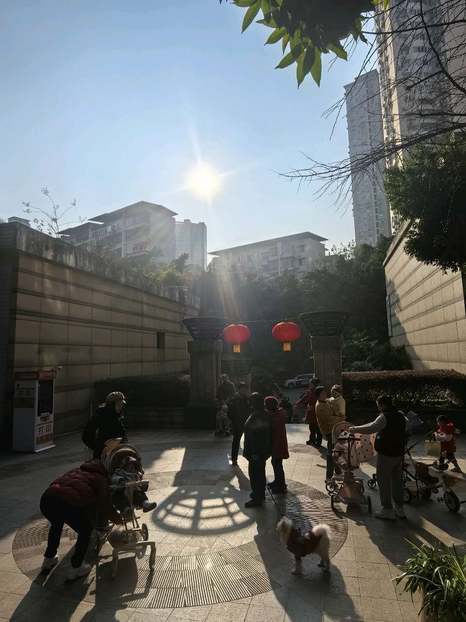 「现代诗」太阳出来暖深冬（图3）