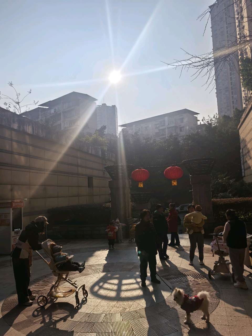 「现代诗」太阳出来暖深冬（图6）