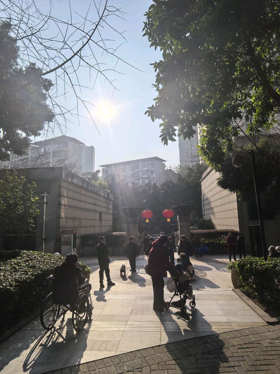 「现代诗」太阳出来暖深冬（图8）