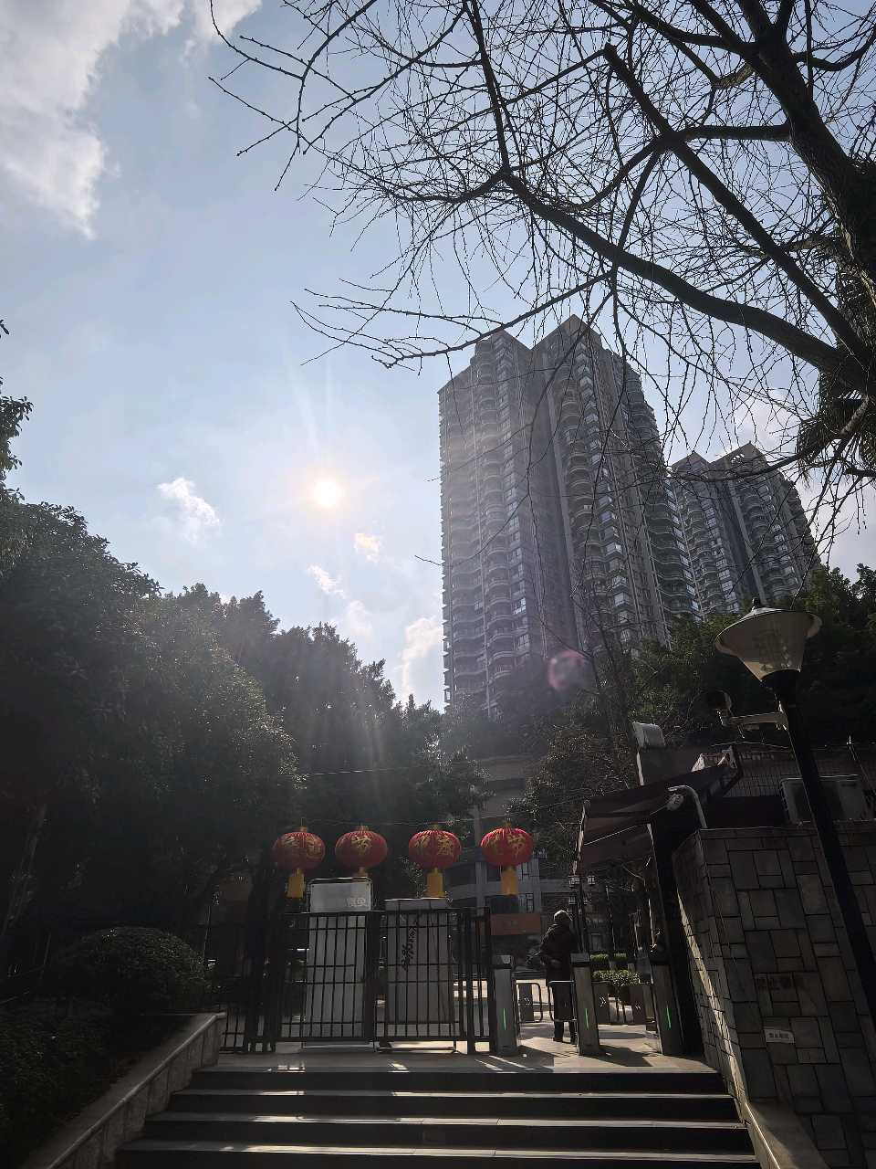 「现代诗」太阳出来暖深冬