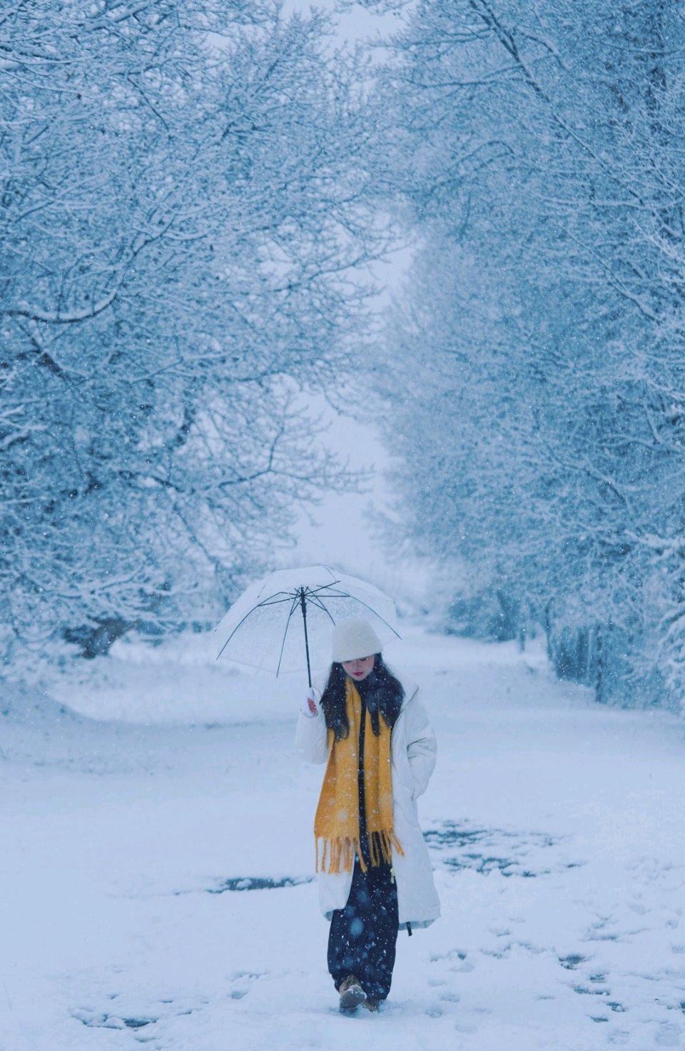 七律-冬日吟雪～王政（辽宁）（图12）