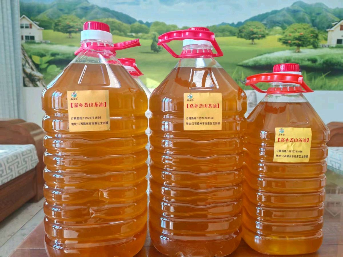 植迁亿集团联合多方力量亮相龙兆商会千人内销展：以中医智慧引领大健康产业新生态