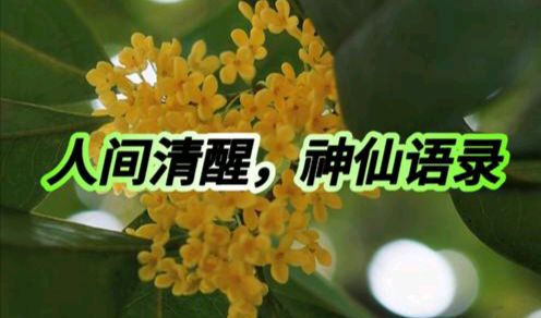 【散文】《人间清醒: 藏在老祖宗俗语里的50条人性铁律》作者: 强军/陕西宝鸡(图10)