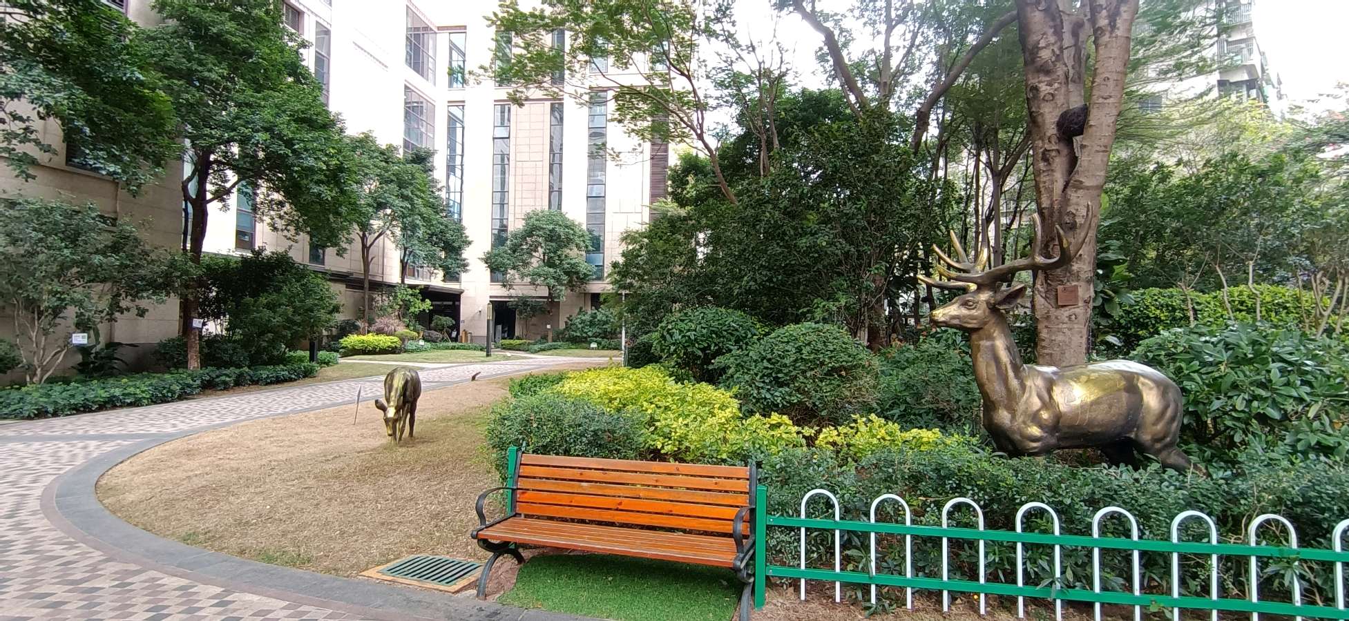 我在小区里晒着阳光 // 林伟健（图2）