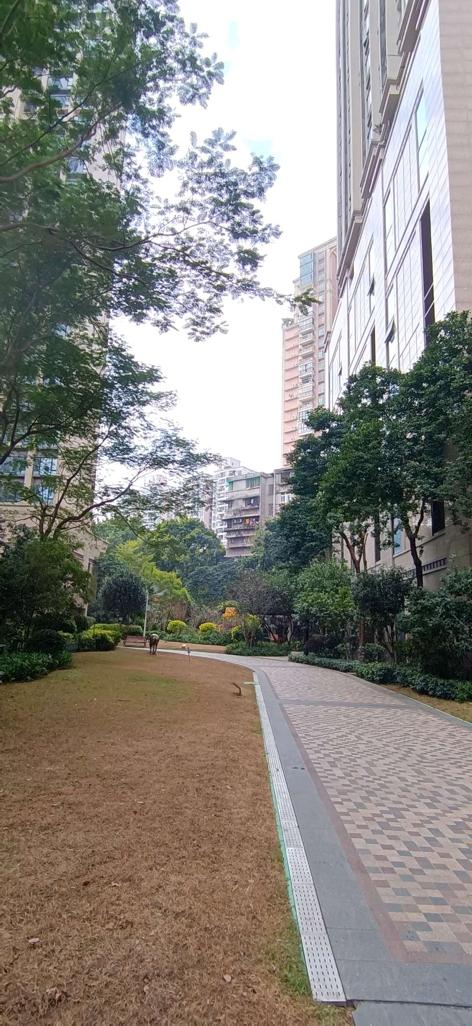 我在小区里晒着阳光 // 林伟健（图4）
