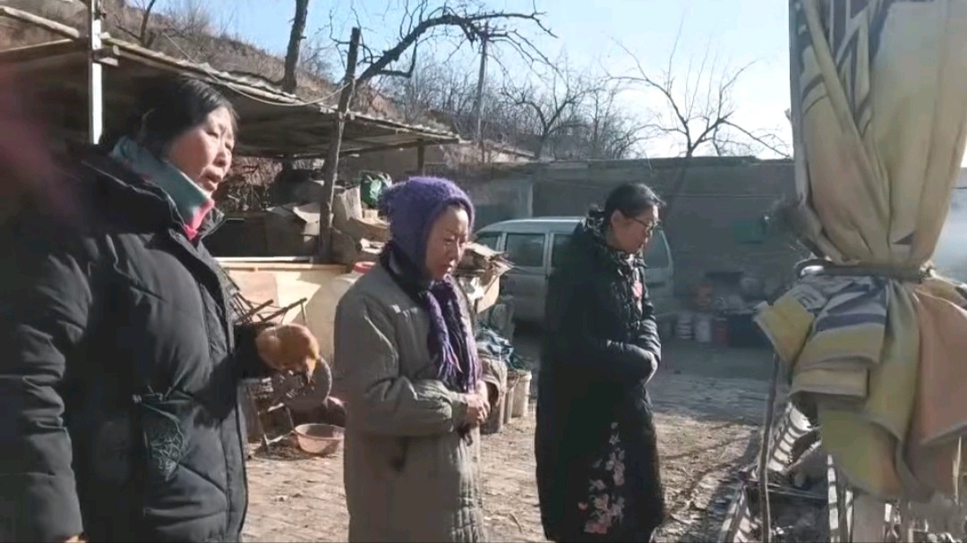 志愿调研进乡村 把脉养羊促振兴（图4）