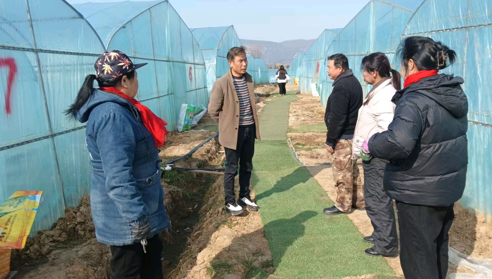志愿走访草莓园 助力产业话振兴（图3）