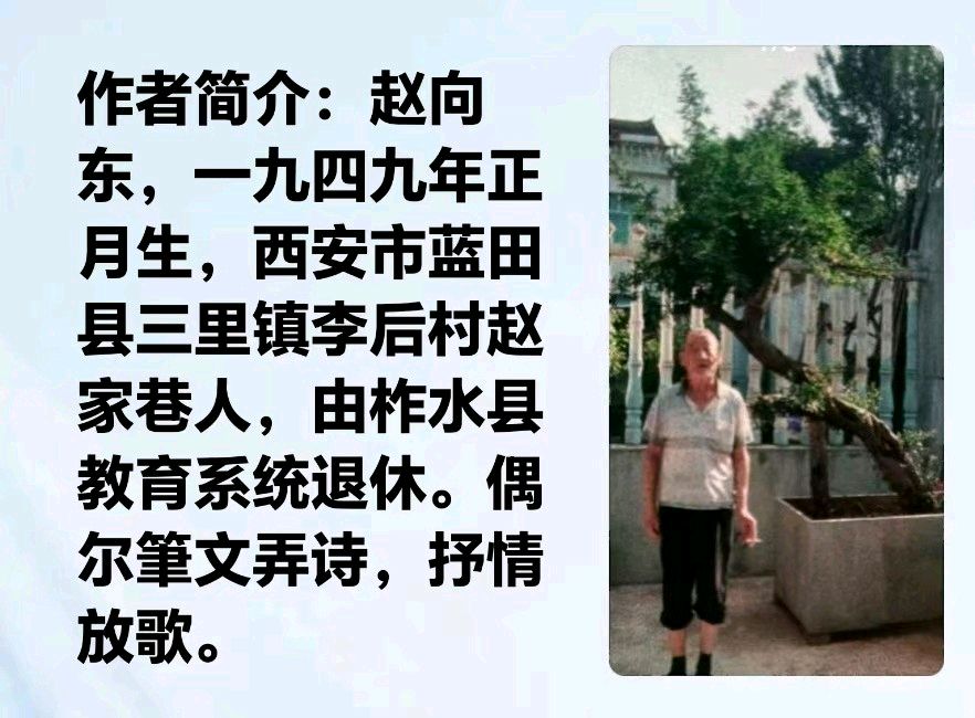 赵向东∥《柞水行吟廿四韵》