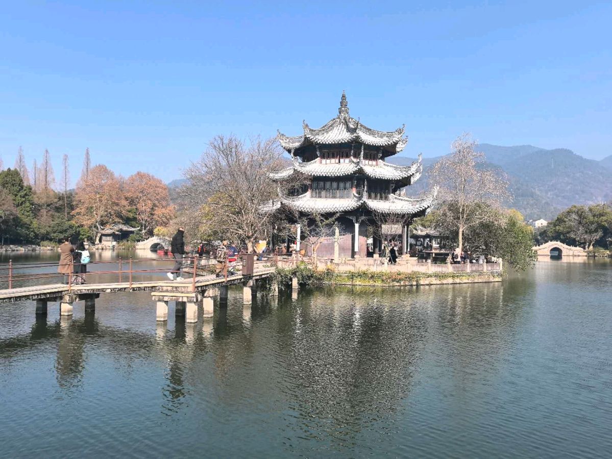 【荣耀中国】文学社*临海府城诗组专辑作者/杨毓楼（浙江）（图8）