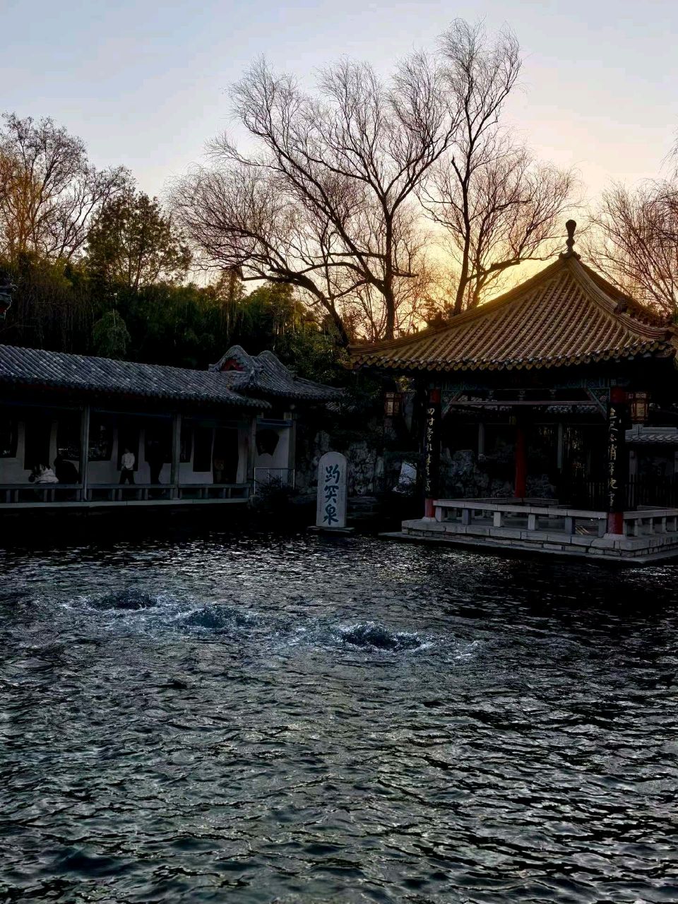 霞染趵突泉🌇（图4）