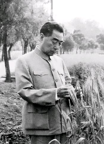 纪念周恩来总理逝世50周年‖巴彦诗协【1097】（图12）