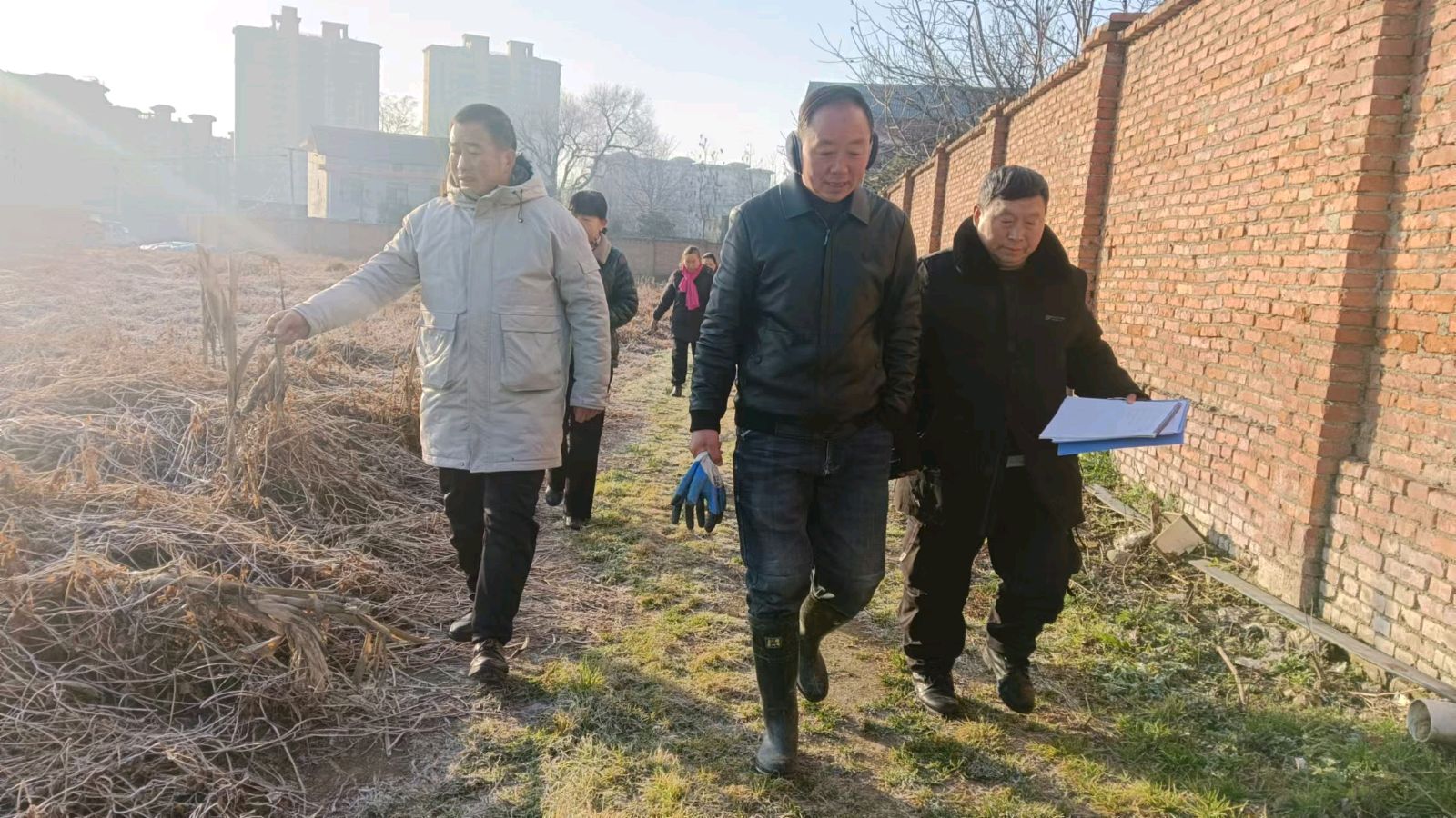 田间地头访实情 志愿助力话振兴
