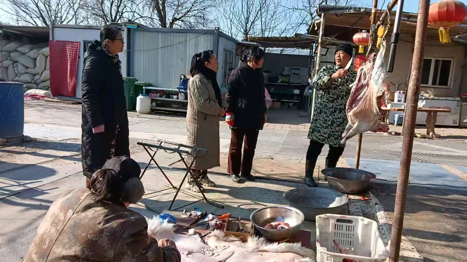 志愿调研助农产销 生态羊肉香飘新春（图4）