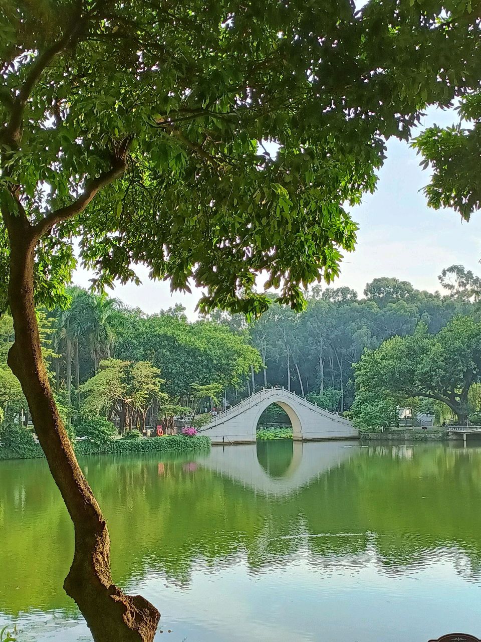 东莞怀古并颂今～李宣财（福建）（图21）