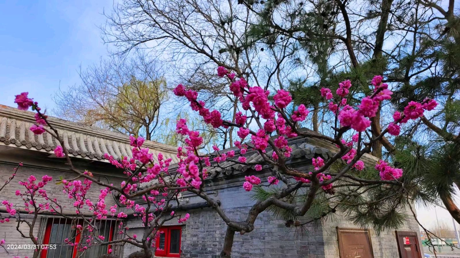 名家精品诗文【十载芸窗磨利剑，冰弦终向碧霄鸣 】1322作家：三木秉凤先生（周凤森）编辑制作：烟雨蒙蒙（图9）