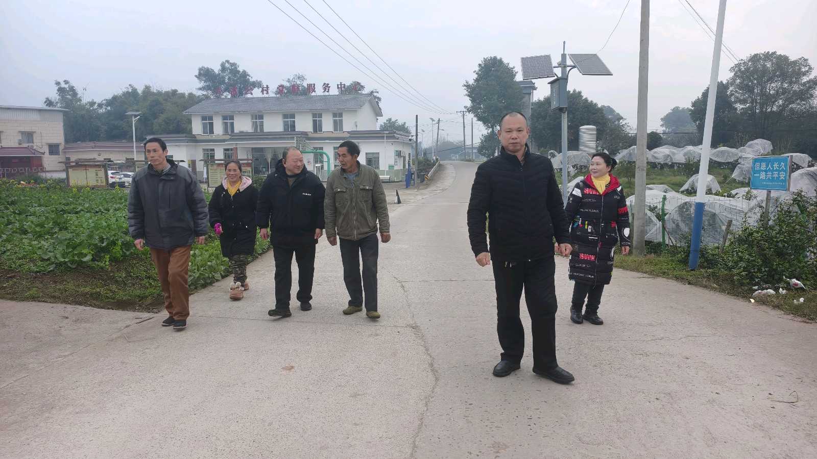 走访橙香园农场 见证乡村振兴硕果（图4）