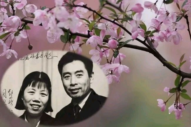 【都市头条向幸福出发编辑部】第14688期 西花厅的海棠花又开了 作者：邓颖超 朗诵：冯会霞（图3）