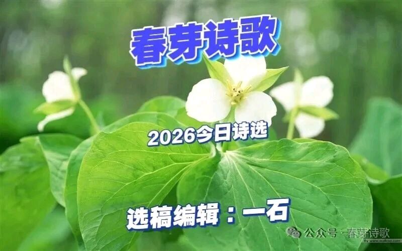 春芽诗歌总第96期：《群英荟萃（4）》（图2）