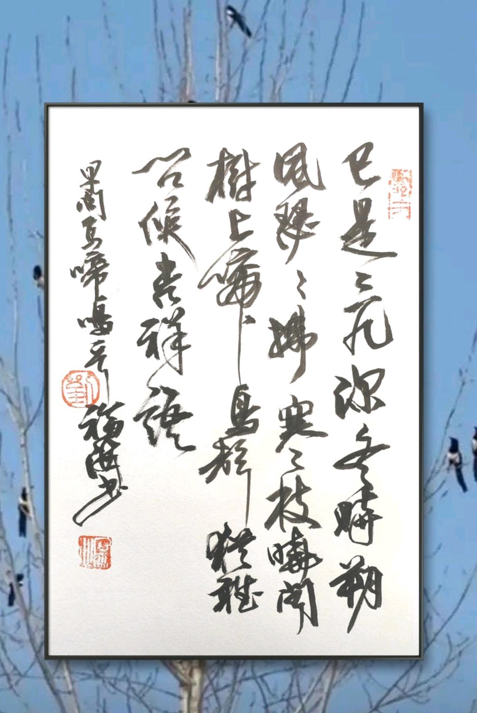 早上闻啼鸟