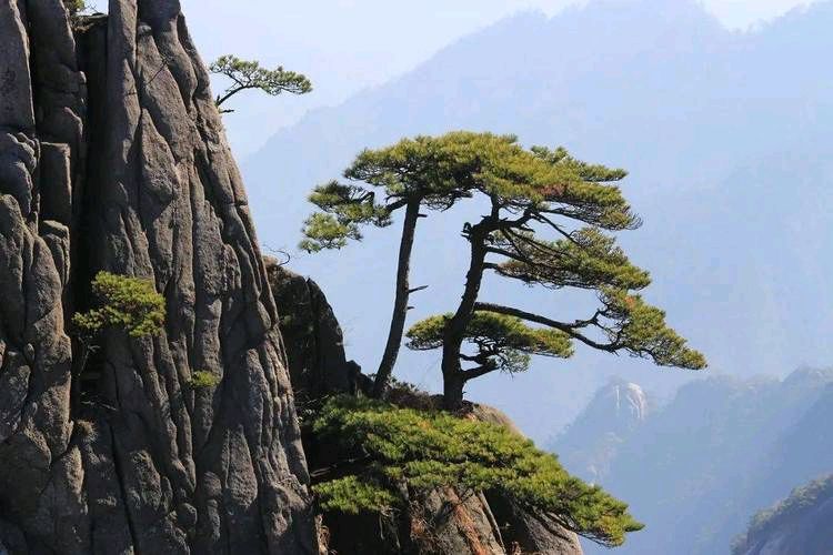 《中华好诗词》分享（山东即墨）优秀诗人张太清先生诗词一组敬请雅鉴（图14）