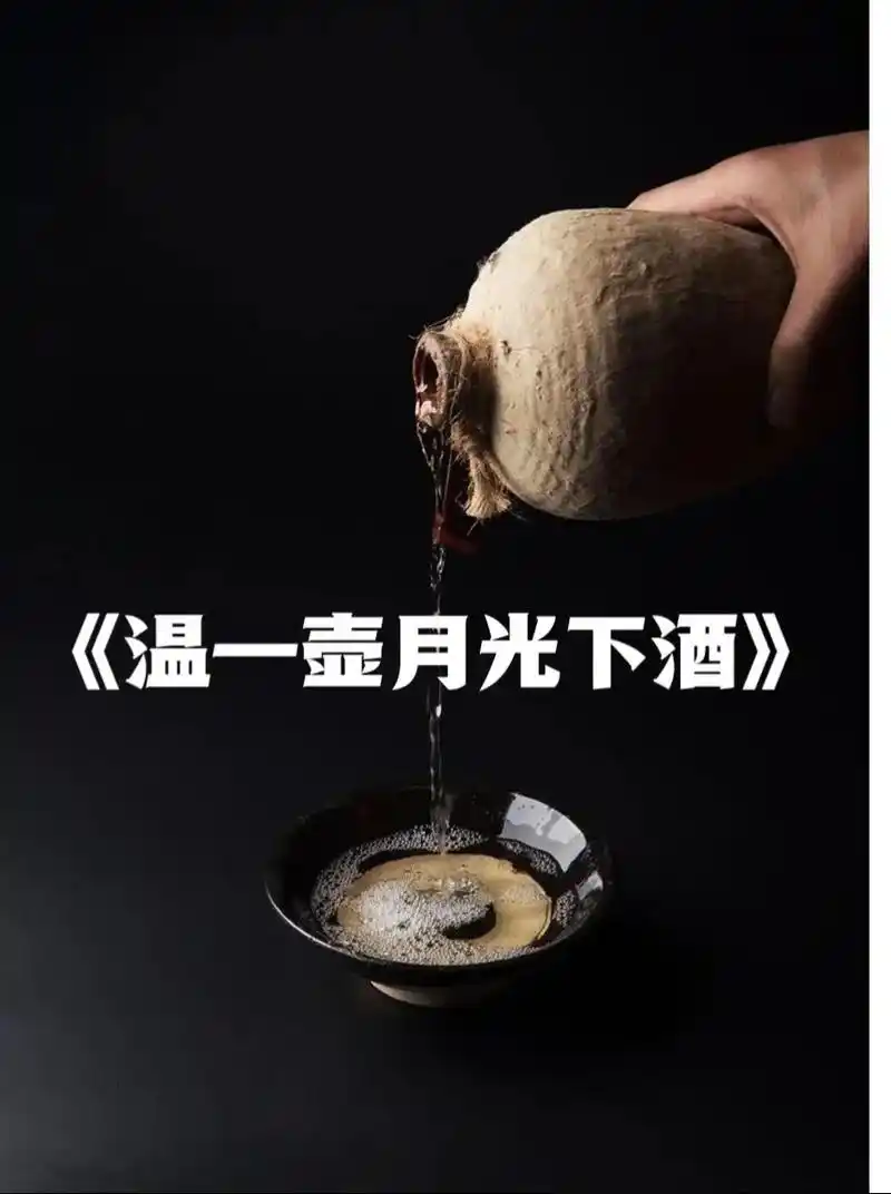 温一壶月光下酒（图5）