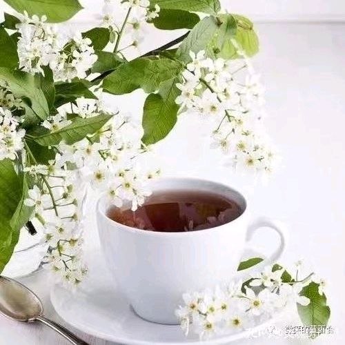 【都市头条向幸福出发编辑部】第14718期 潇潇秋雨话育人三首 文 如月