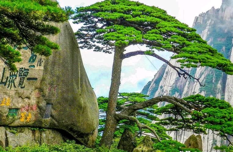 《名篇:金榜头条》隆重推出著名作家诗人梁邦焕先生《小喇叭开始广播了》外七律诗三首敬请雅鉴(图6)