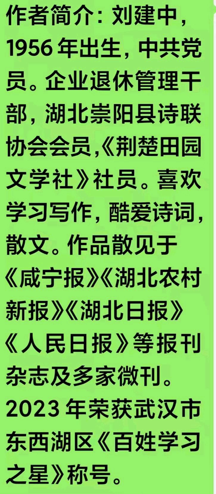 【九月茶韵文学诗社】2026——006期《中华赋》作者/刘建忠 编辑制作/刘林丽（图4）