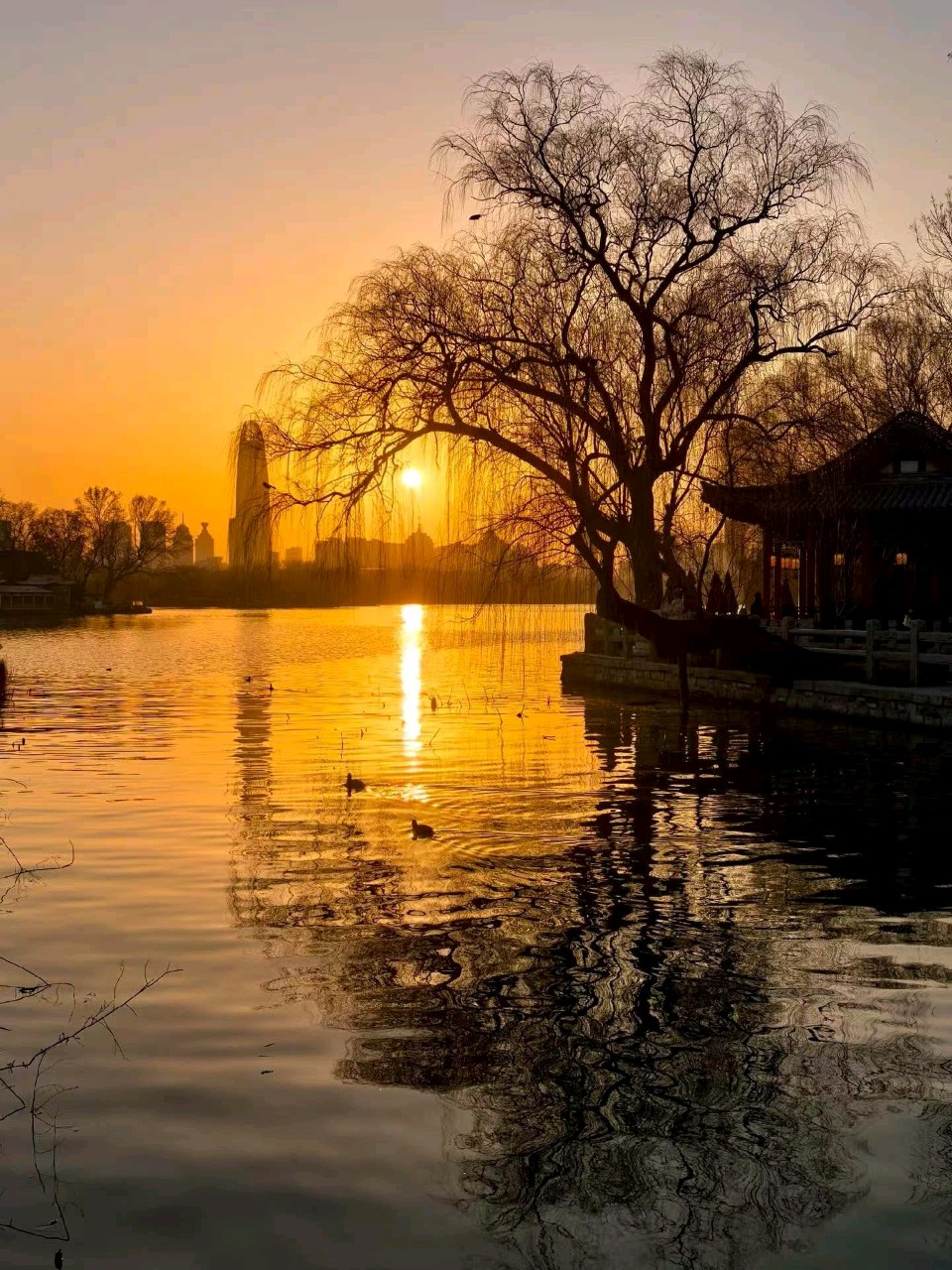 晚照大明湖（图7）