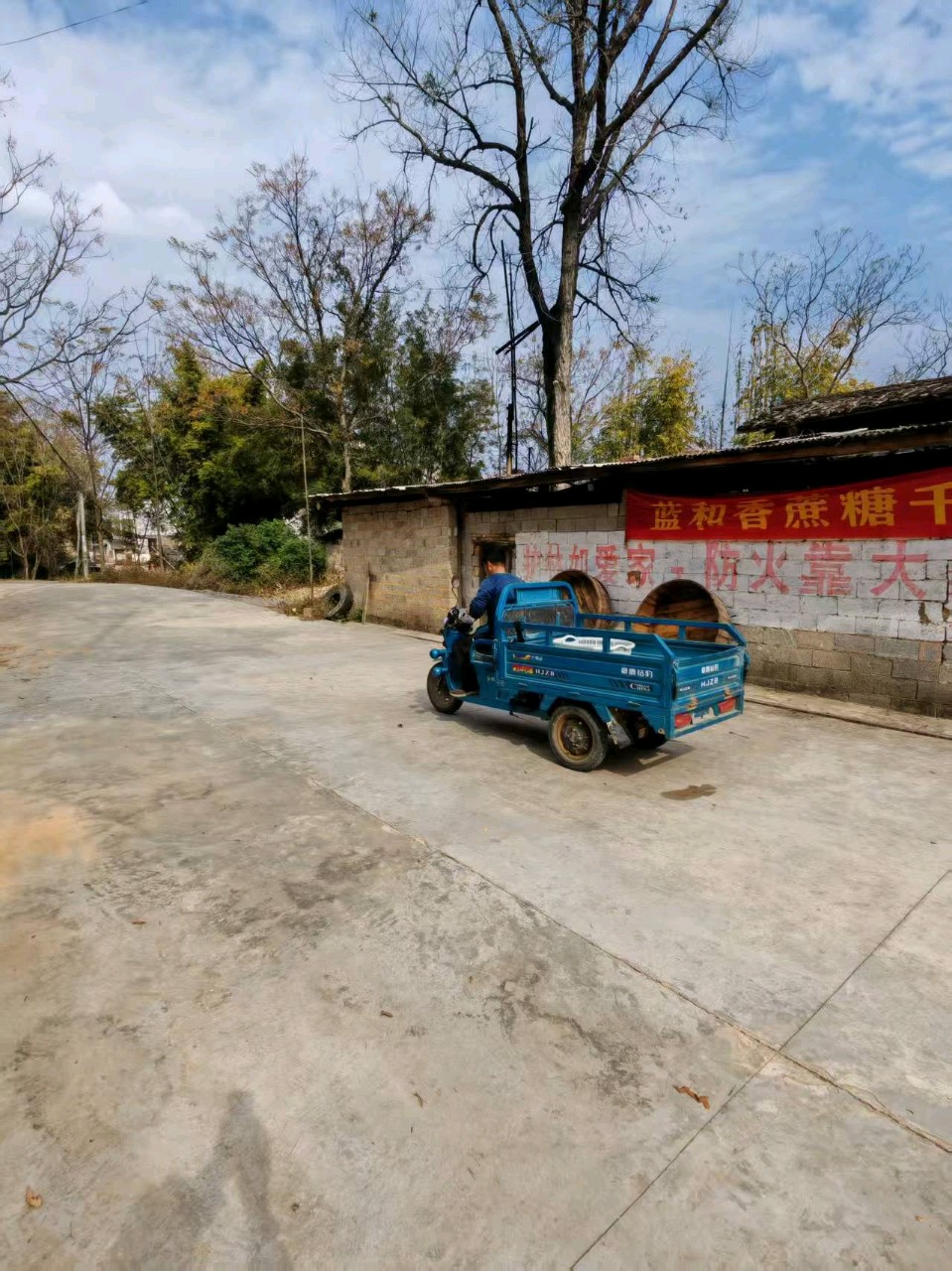 蓝和香红糖赋（图5）