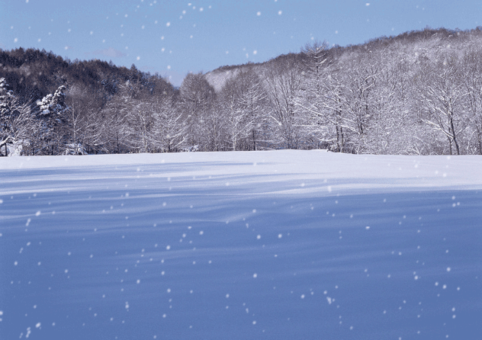 【神都诗社】龙门诗苑第052期《咏雪》（图17）