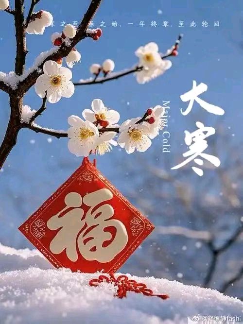 【荣耀中国】深圳分社*塞孤•大寒作者/赵俊海（河北）（图2）