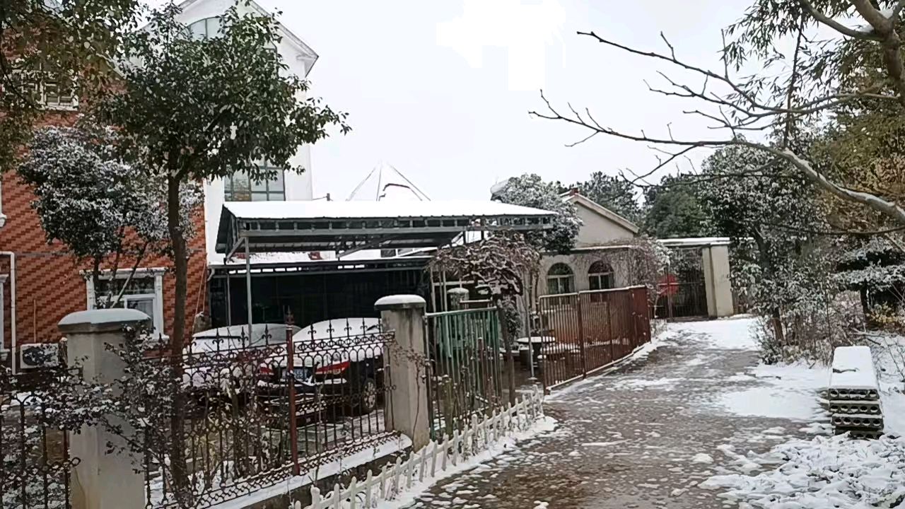 蝶恋花·雪景幽情/方爱国（图4）