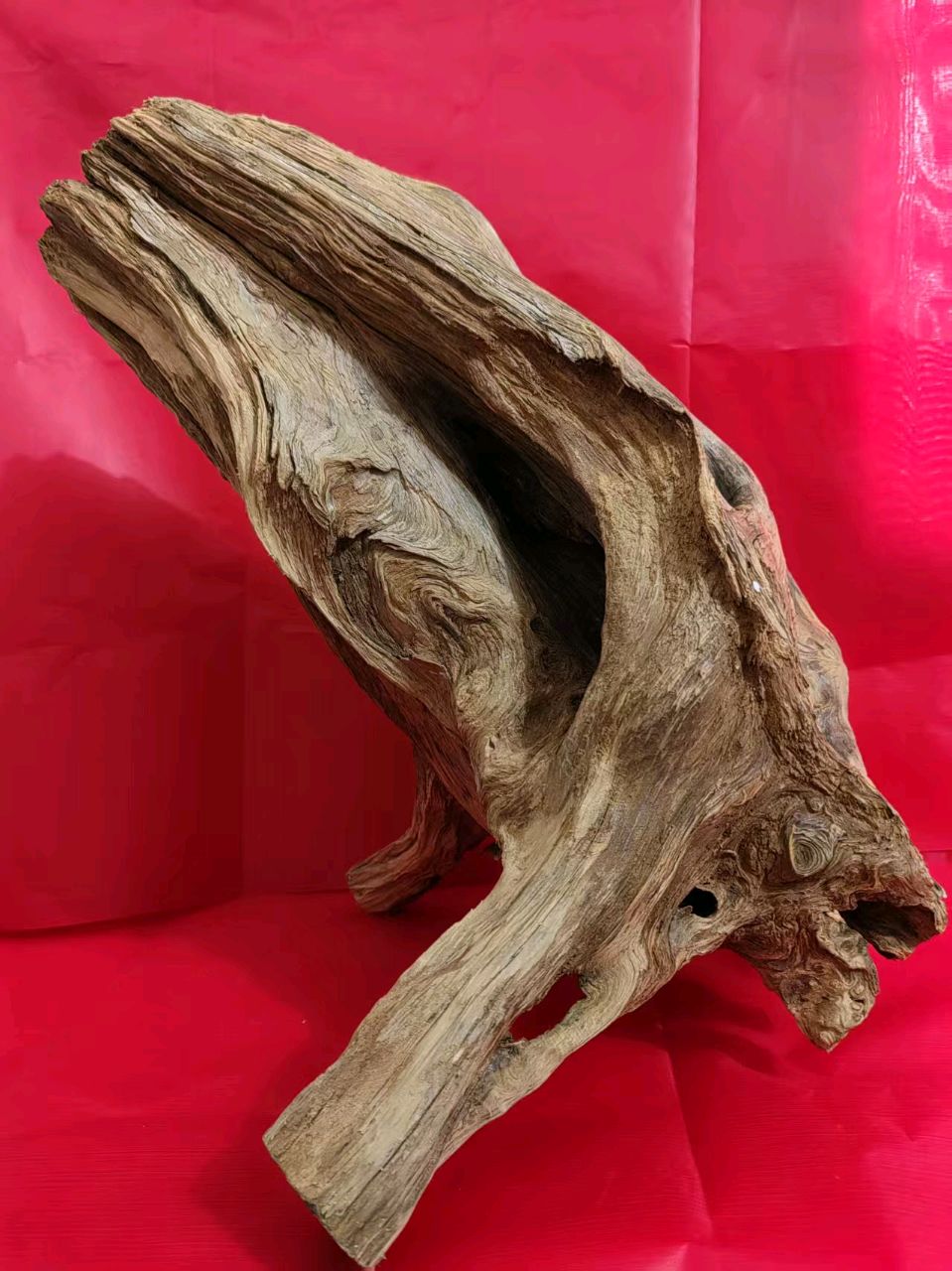 当代哲学家梁之永赴赣南考察 ，力推大余特色农产品融入大湾区市场（图2）
