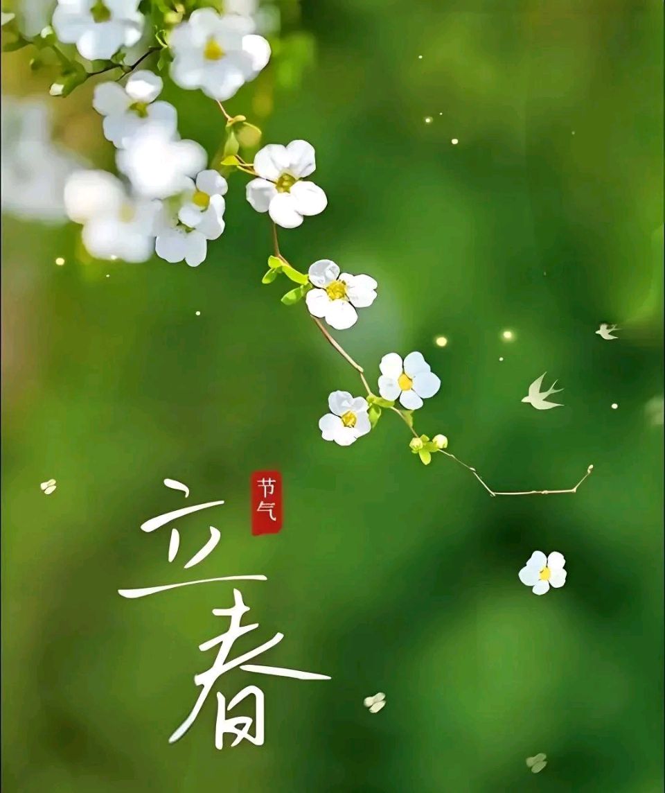 高德军：2025年度二十四节气精品集‖年度巨献（33）‖巴彦诗协【1131】（图4）