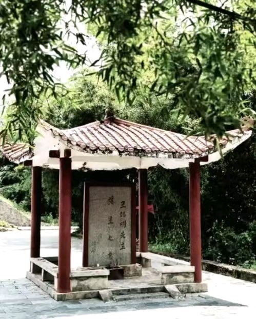梁之永到江西大余考察王阳明落星亭（图2）