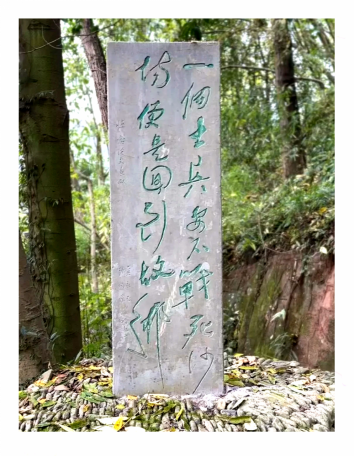 微信图片_20260128051733_10_10 微信图片_20260128051733_10_10