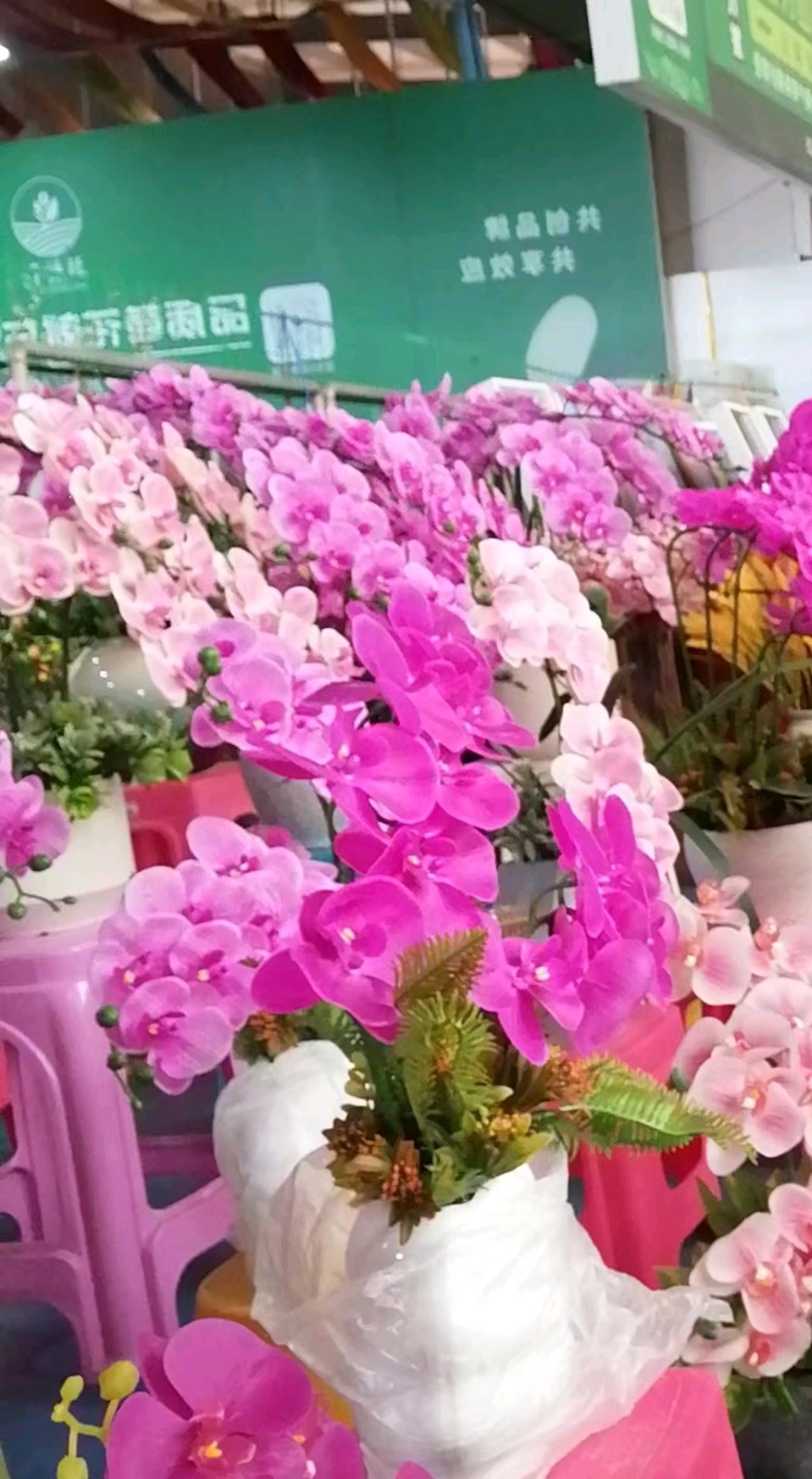 【故道文化·古风·8061】戚绍江《赞张老师书法》（图3）