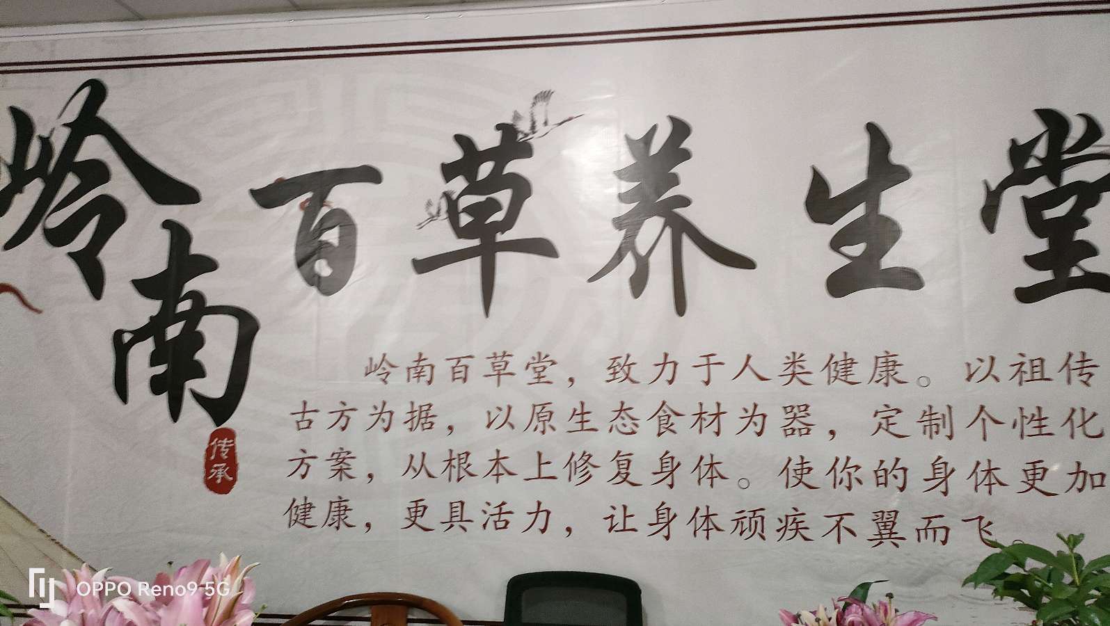 岭南百草养生堂举行年度庆典（图9）