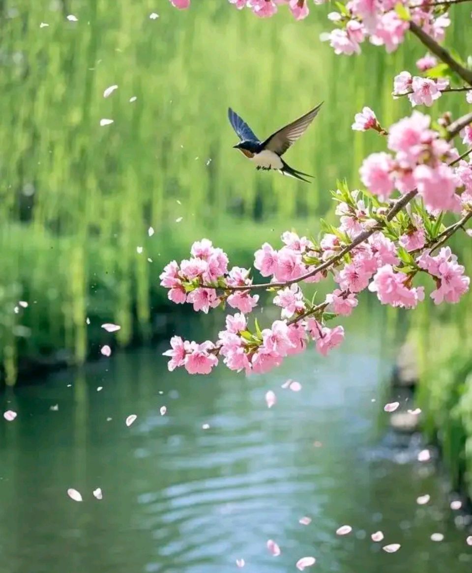 春萧怀力【克山县】（图5）