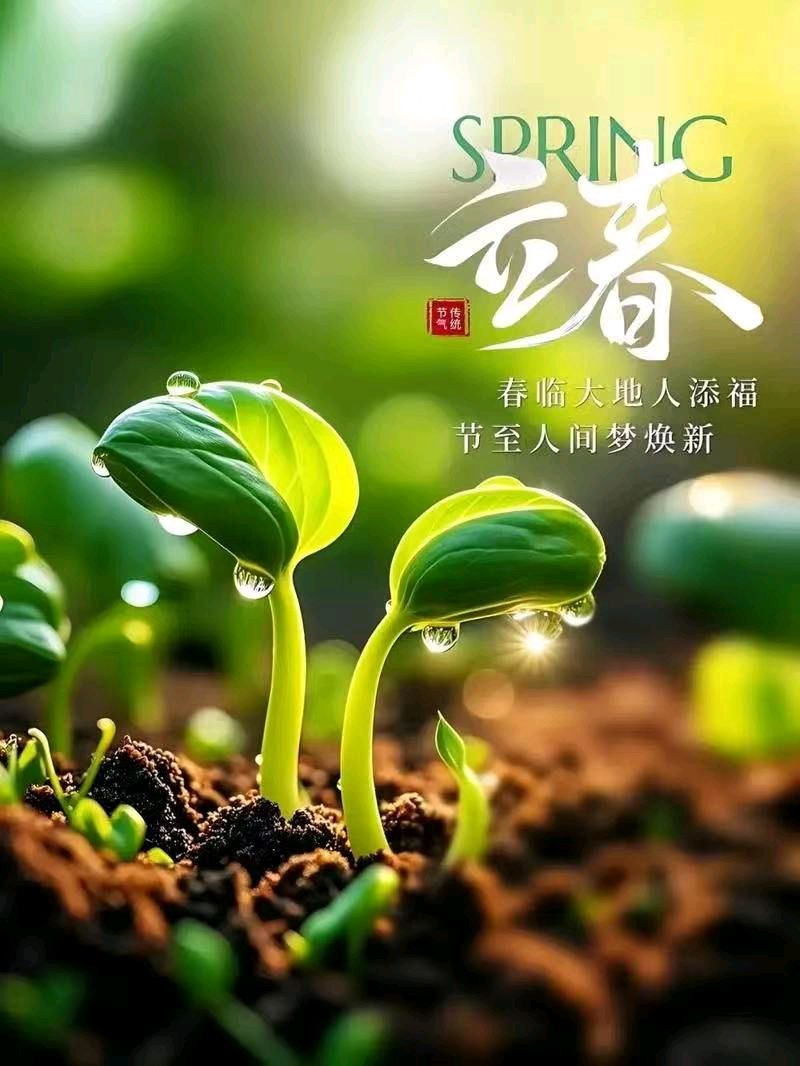 七律《大地回春》（外一首）文/潘毅（图7）
