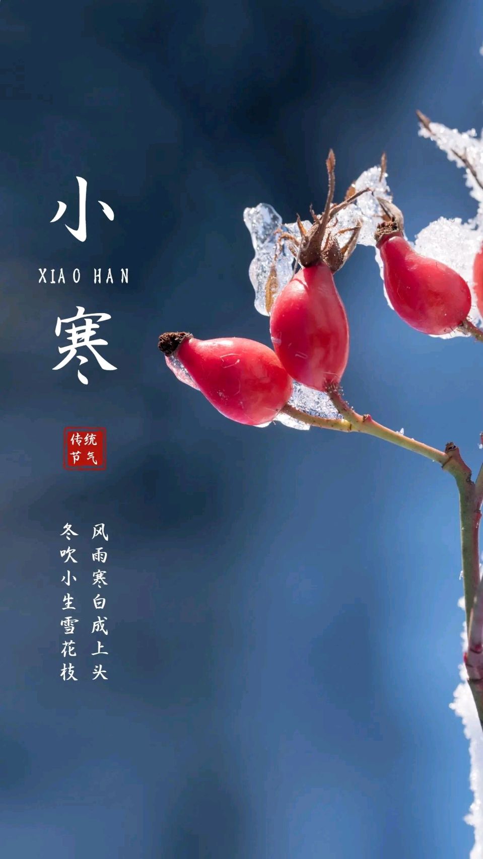 当今知名诗人赵平老师精彩五律与君共赏（图3）
